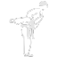 Icon (2)